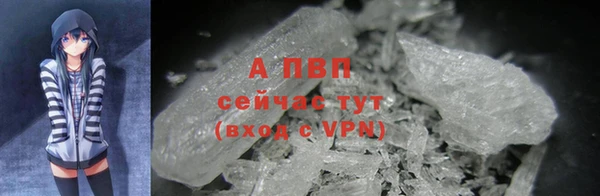 ешки Иннополис