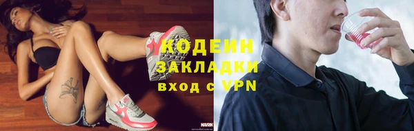 соль ск Инсар