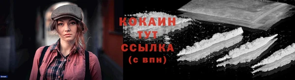 соль ск Инсар