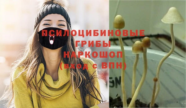ешки Иннополис
