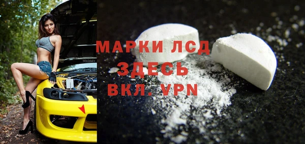 соль ск Инсар