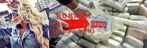 соль ск Инсар