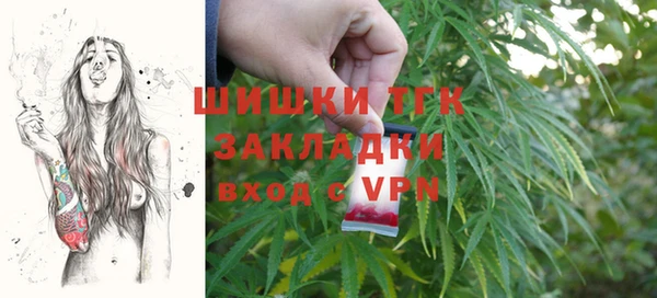 соль ск Инсар