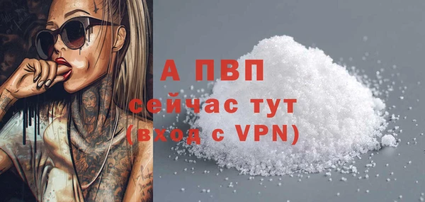 соль ск Инсар