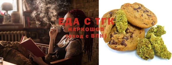 соль ск Инсар