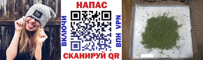 Бошки марихуана сатива  Купить  Анжеро-Судженск 